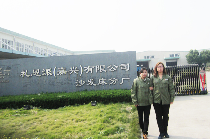 力特技术人员走访礼恩派